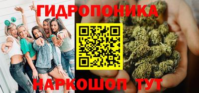 сатива Шелехов