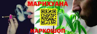 сатива Шебекино