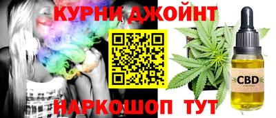 сатива Шебекино