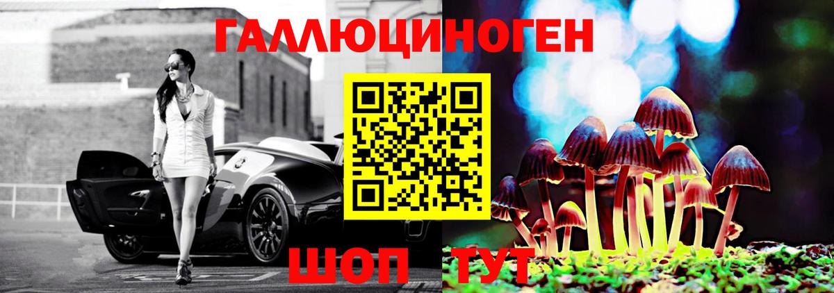 дарнет шоп  Псилоцибиновые грибы Psilocybine cubensis  Вход с VPN  Псилоцибиновые грибы ЛСД  Арзамас 